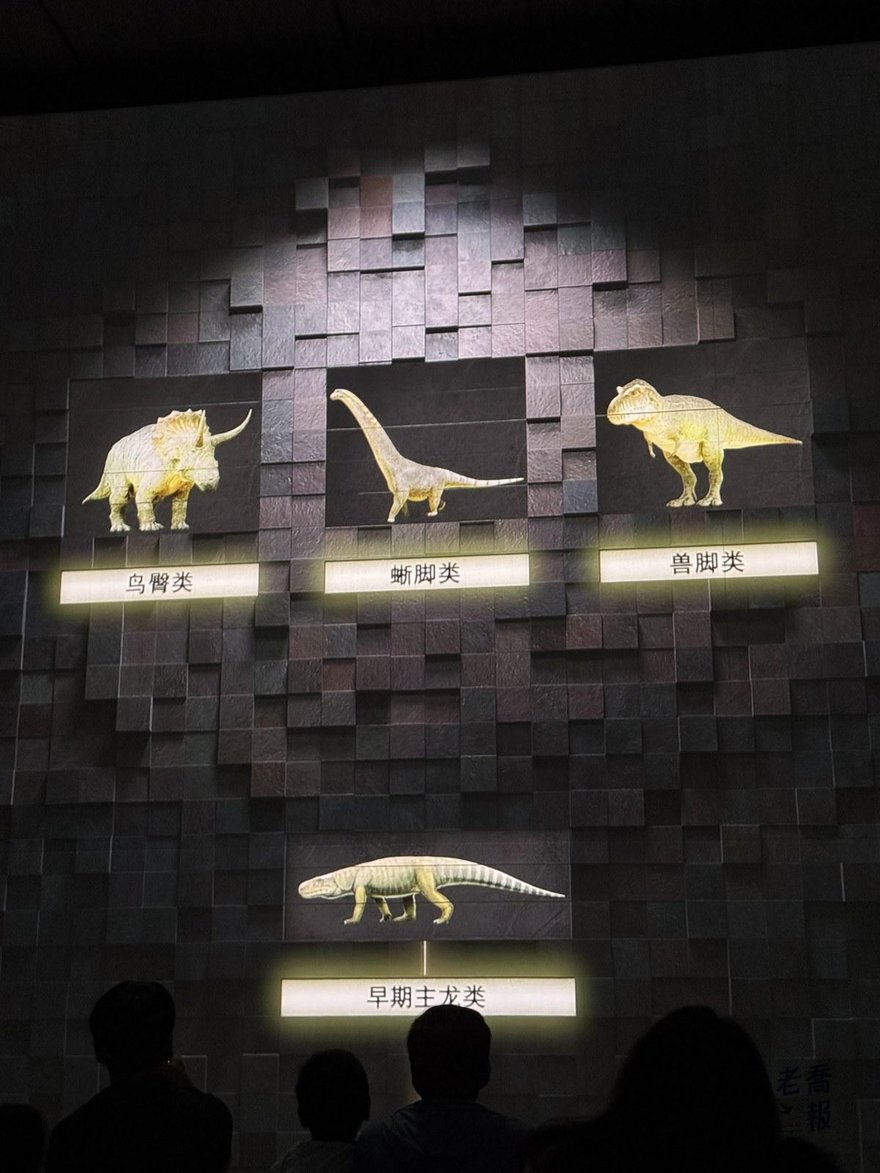 展場一面深色牆上的方格展示櫃，裡面放著幾隻打光的小型恐龍模型與名稱標示