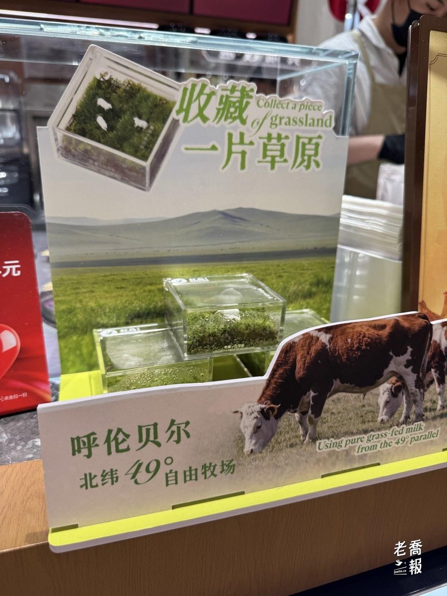 紅鳥瑰麗的收藏一片草原立牌，寫著呼倫貝爾北緯 49 度自由牧場，圖上是壓克力苔蘚盒與草原上吃草的牛