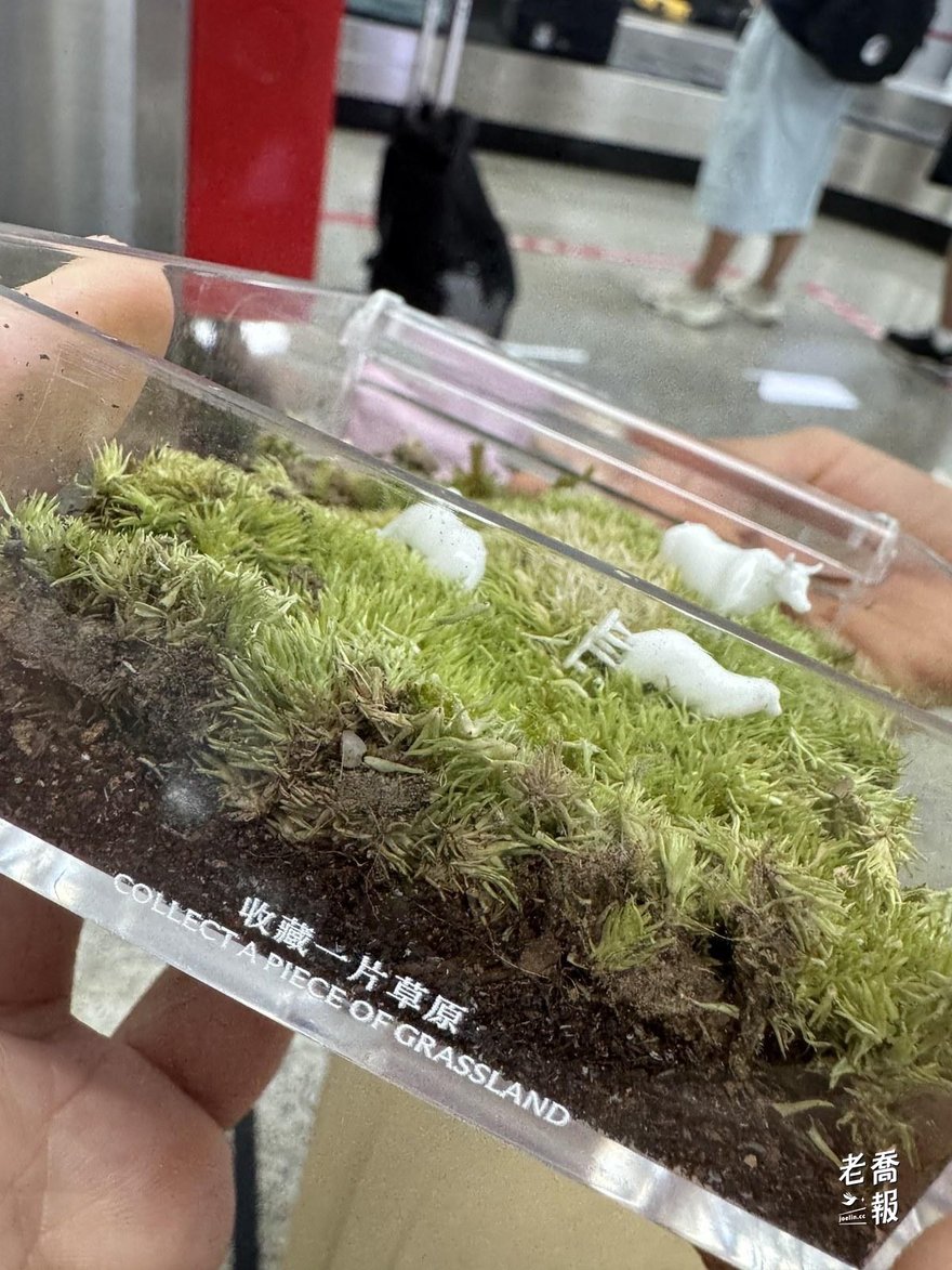 苔蘚草原盒的側面，印著收藏一片草原與 COLLECT A PIECE OF GRASSLAND 字樣