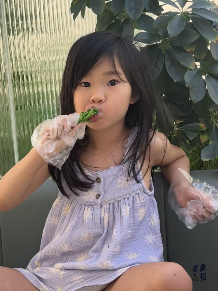 哈哈戴著塑膠手套，正在吃一塊綠色的蔬菜