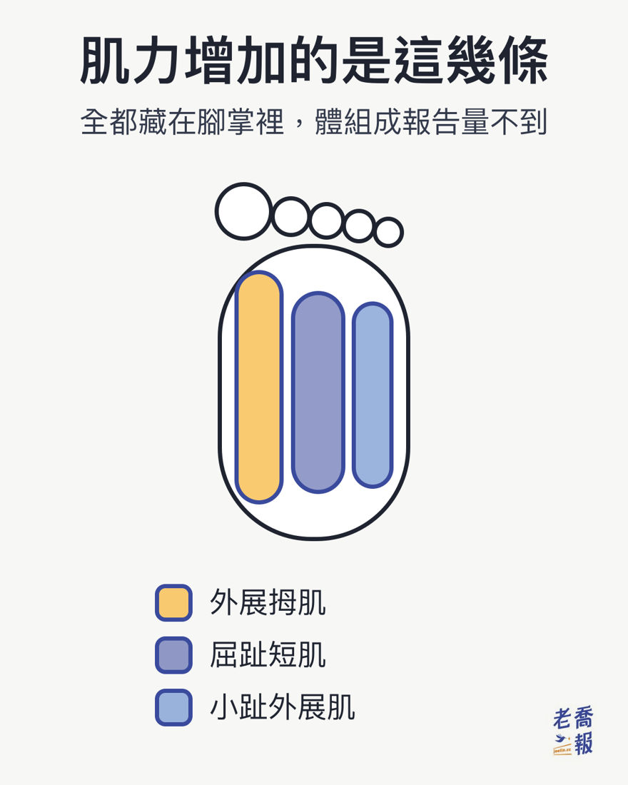 足底內在肌群示意圖：腳掌俯視圖中標出三條肌肉，外展拇肌沿內側緣、屈趾短肌居中、小趾外展肌沿外側緣，圖上註明這些肌肉全都藏在腳掌裡、體組成報告量不到。