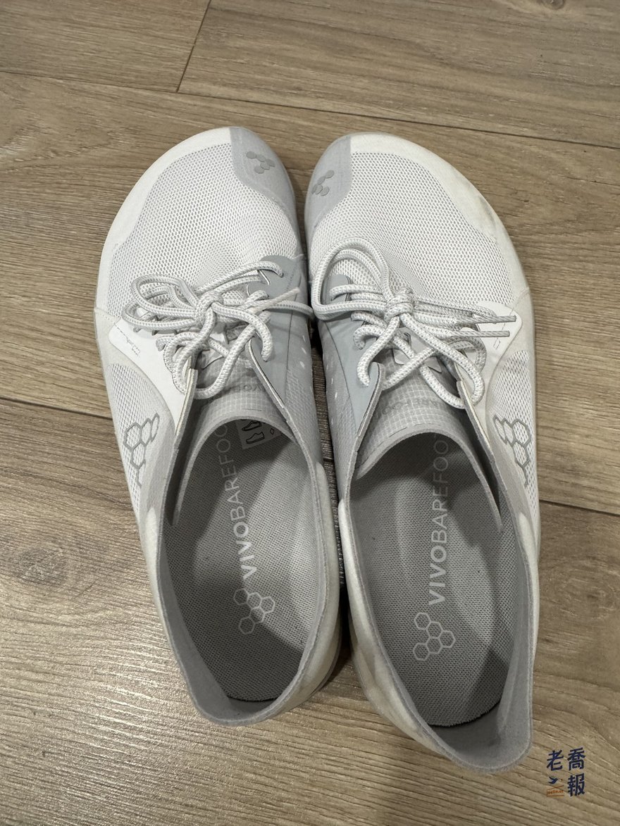 Vivobarefoot Primus Lite IV 實鞋俯視：一雙礦石灰網布鞋並排，前掌楦頭明顯寬而圓、沒有向大腳趾方向收窄，鞋口內的鞋墊印有 VIVOBAREFOOT 品牌標誌。