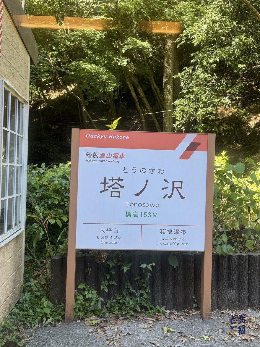 塔之澤站的站名牌，印著「標高 153M」——每一站都標高度，是這條路線把坡度可視化的方式