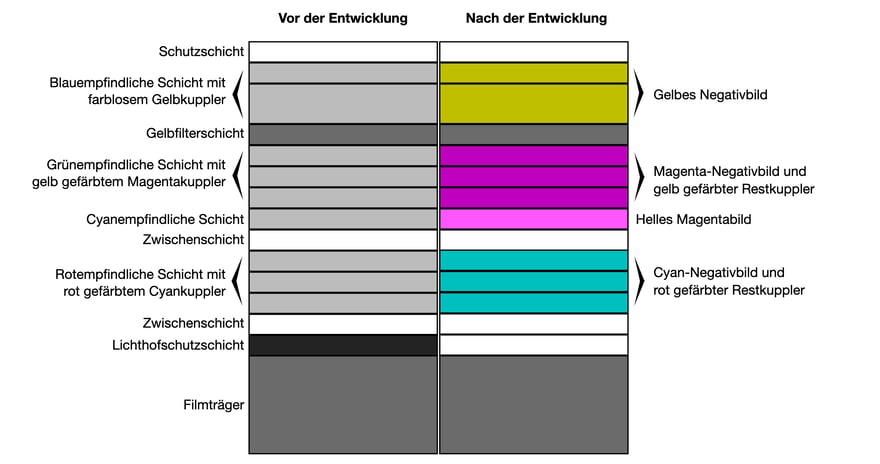 Schematischer Querschnitt eines Farbnegativfilms, links „Vor der Entwicklung“, rechts „Nach der Entwicklung“: ganz unten der graue Filmträger, darüber nacheinander die Lichthofschutzschicht, eine Zwischenschicht, drei rotempfindliche Schichten mit rot gefärbtem Cyankuppler, eine Zwischenschicht, eine cyanempfindliche Schicht (von Fujifilm als vierte farbempfindliche Schicht bezeichnet), drei grünempfindliche Schichten mit gelb gefärbtem Magentakuppler, die Gelbfilterschicht, zwei blauempfindliche Schichten mit farblosem Gelbkuppler und ganz oben die Schutzschicht; nach der Entwicklung werden die drei Gruppen zum Cyan-Negativbild, zum Magenta-Negativbild und zum gelben Negativbild.