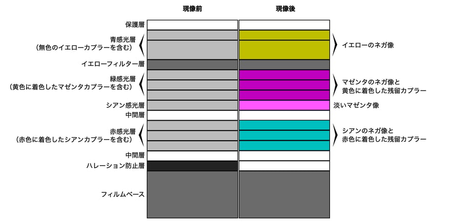 カラーネガフィルムの断面図。左の列が現像前、右の列が現像後。いちばん下が灰色のフィルムベースで、上へ順にハレーション防止層、中間層、赤感光層3層、中間層、シアン感光層1層（Fujifilmは第4の感色層と呼んでいる）、緑感光層3層、イエローフィルター層、青感光層2層、いちばん上が保護層。現像後は3組の感光層がそれぞれシアン、マゼンタ、イエローのネガ像になる。