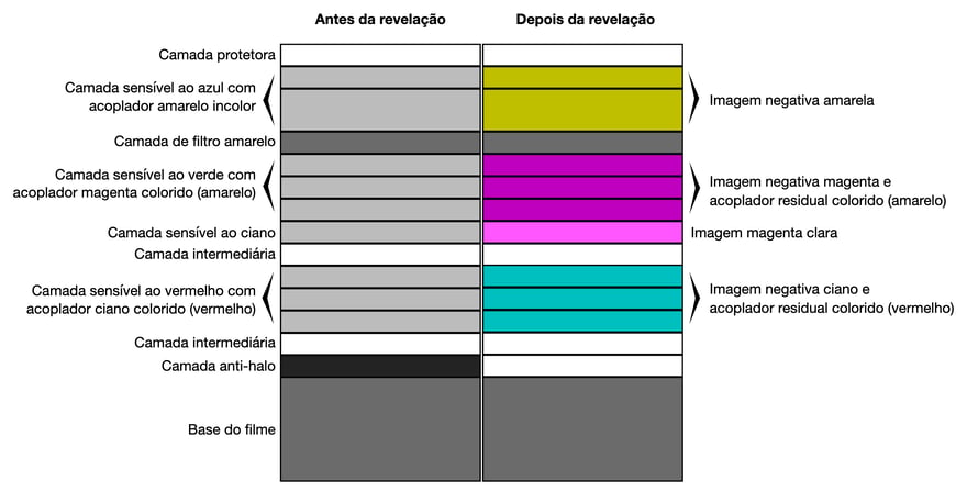 Corte esquemático de um negativo colorido, com a coluna “Antes da revelação” à esquerda e “Depois da revelação” à direita: embaixo, a base do filme em cinza; acima, em ordem, a camada anti-halo, uma camada intermediária, três camadas sensíveis ao vermelho com acoplador ciano colorido (vermelho), uma camada intermediária, uma camada sensível ao ciano (que a Fujifilm chama de quarta camada sensível à cor), três camadas sensíveis ao verde com acoplador magenta colorido (amarelo), a camada de filtro amarelo, duas camadas sensíveis ao azul com acoplador amarelo incolor e, no topo, a camada protetora; depois da revelação, os três grupos de camadas viram as imagens negativas ciano, magenta e amarela.