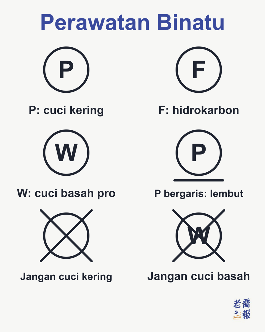 Simbol perawatan profesional: P di dalam lingkaran berarti boleh dicuci kering secara profesional, F berarti dicuci kering hanya dengan pelarut hidrokarbon, W berarti boleh dicuci basah secara profesional, P dengan satu garis di bawahnya berarti cuci kering lembut, lingkaran kosong yang disilang berarti jangan dicuci kering, dan W yang disilang berarti jangan dicuci basah.