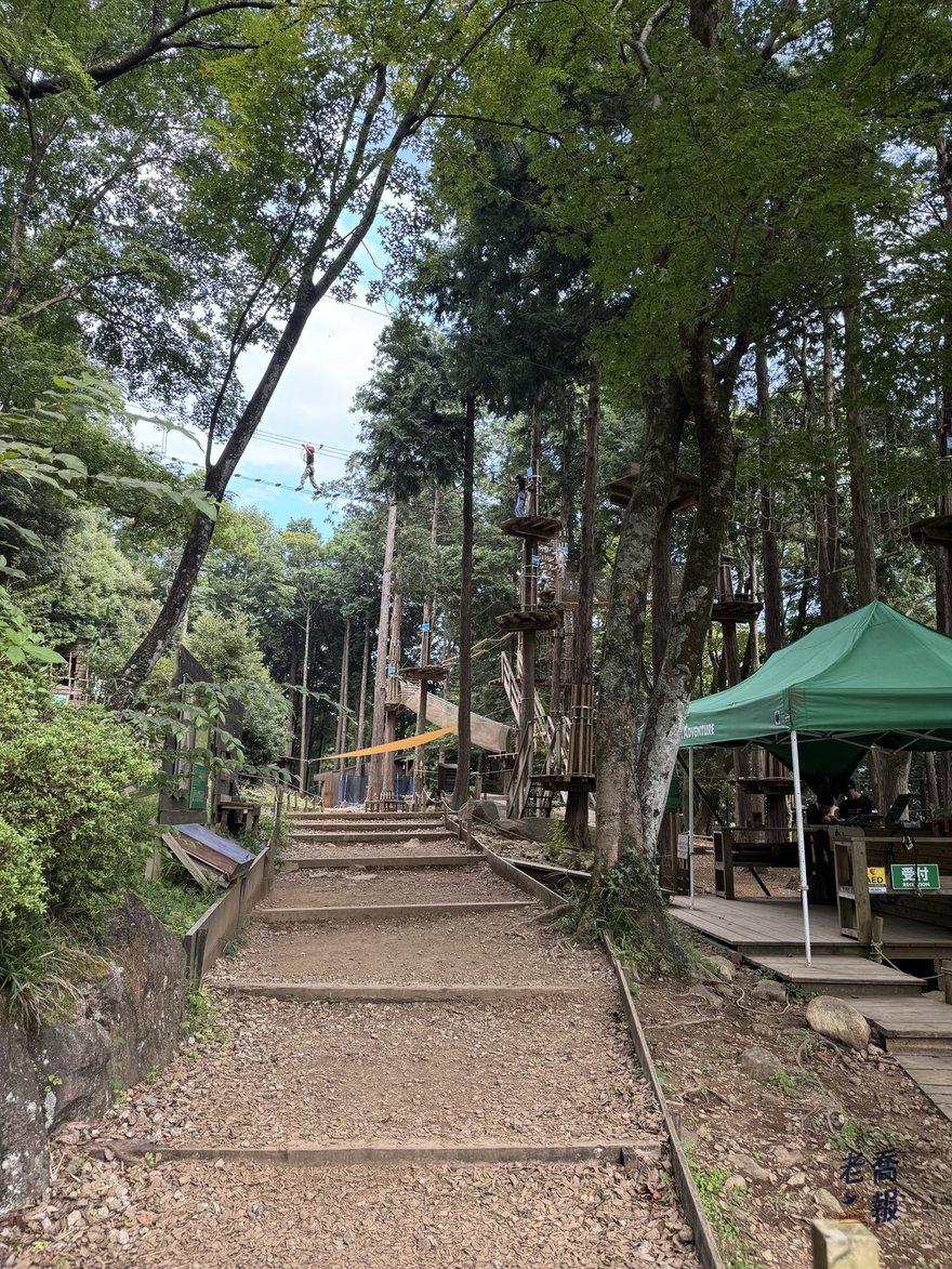 通往 Forest Adventure 箱根園區的步道