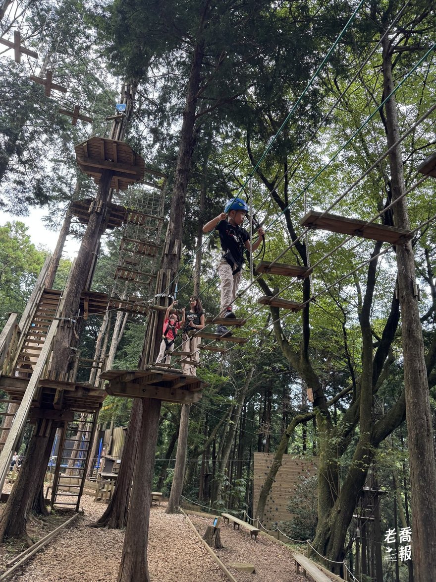 哈哈在 Forest Adventure 樹上繩橋前進，嘻嘻與喬夫人在後方平台等待