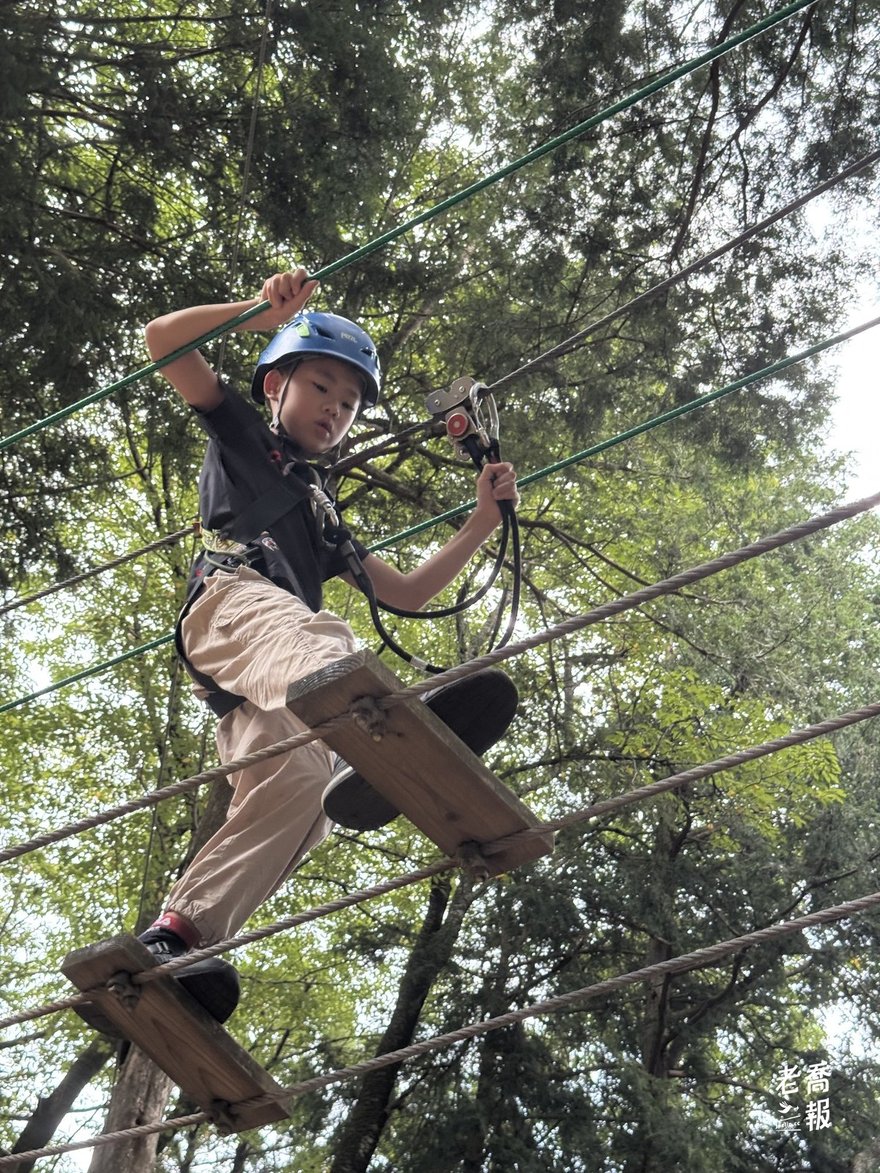 哈哈低頭確認腳下木板與安全繩，專心通過 Forest Adventure 繩橋
